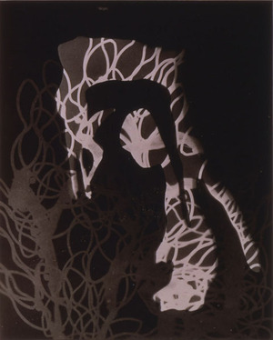 おすすめqei17-024