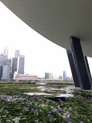 hamada_3_1 (14) のコピー