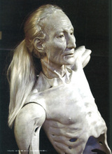 イラストレーション2010-7月号　井桁裕子3