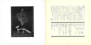 画譜_創刊準備号_p16_p17