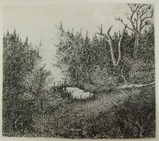 駒井哲郎山の奥2