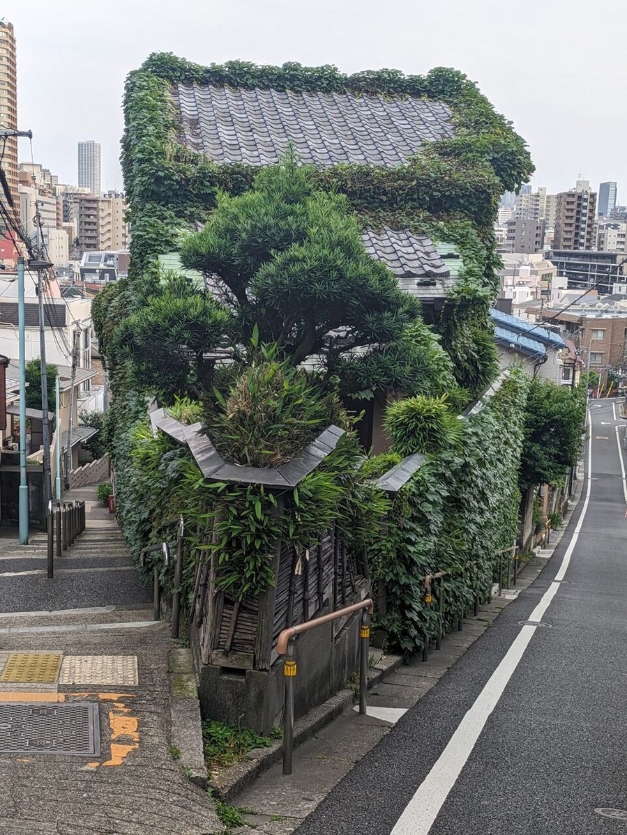 449948659_1187415859236256_2494398028014308666_n (1)