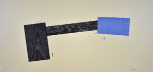 ジョエル・シャピロ 13