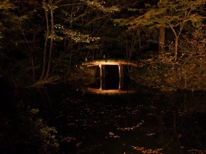 20171121_六義園_24