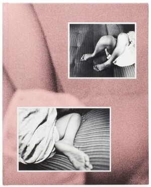 写真集『猫が』