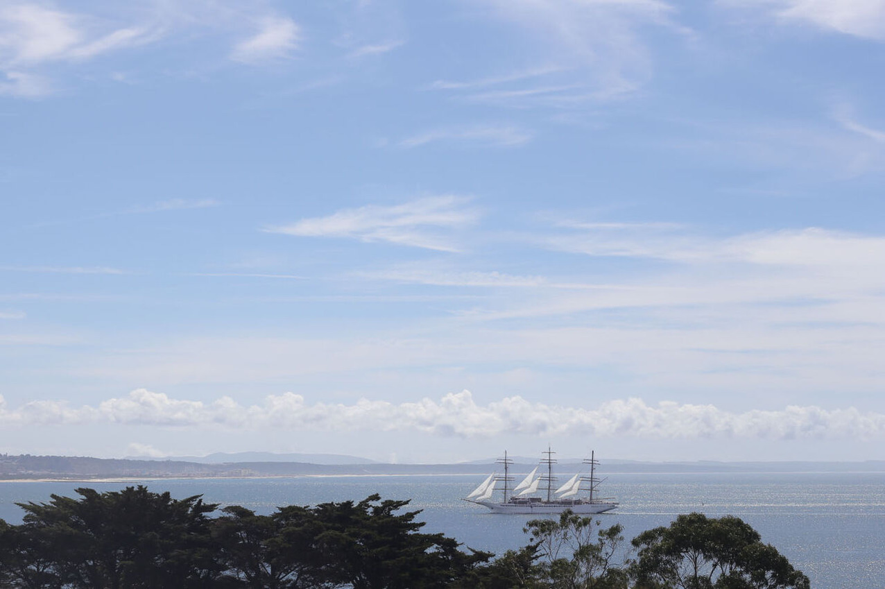 ともだちは海のにおい