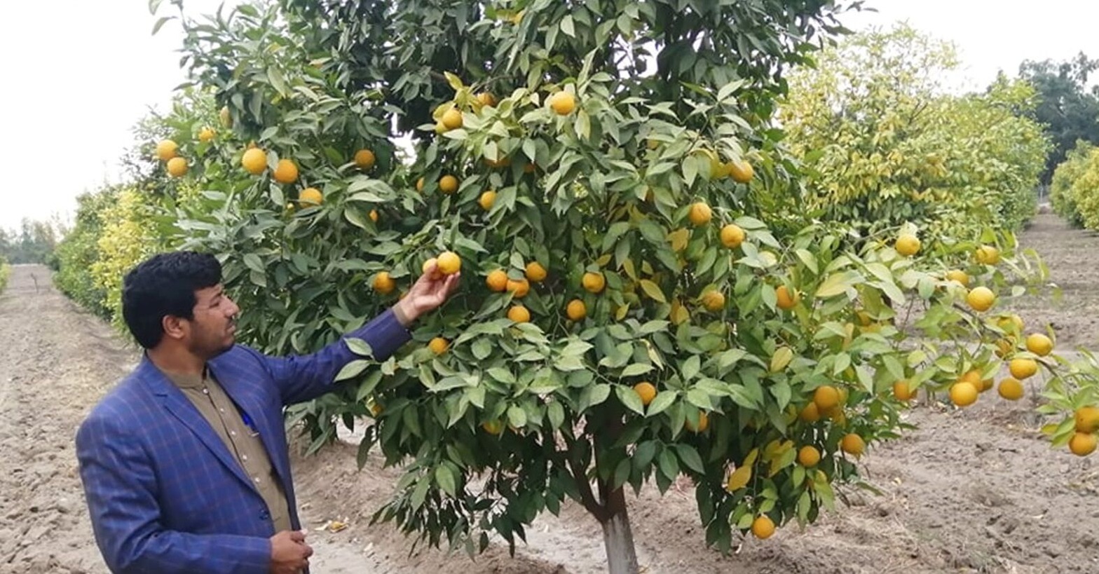 ペシャワール20201229-2-7