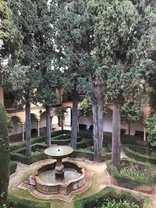 根岸文子20230321_21