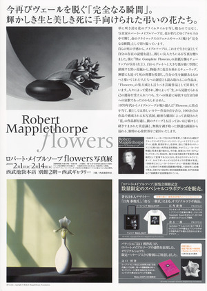 mapplethorpe2