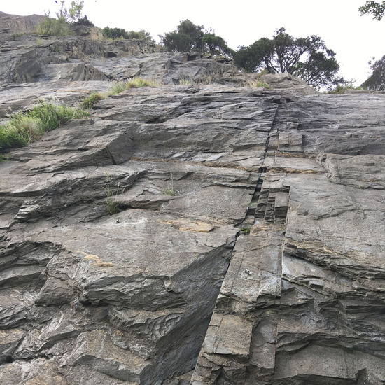 202107杉山幸一郎img02