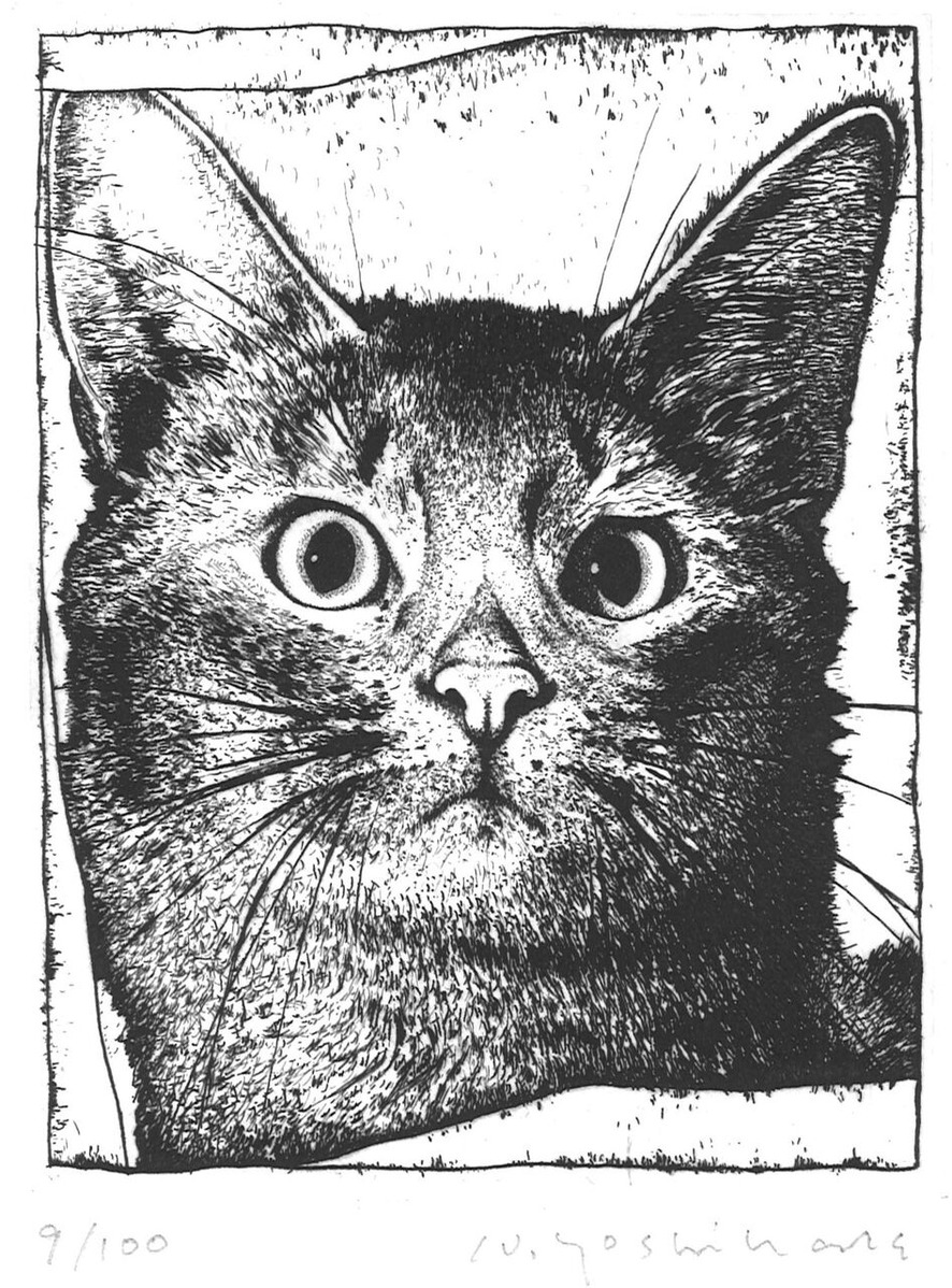 20230126134536_00001