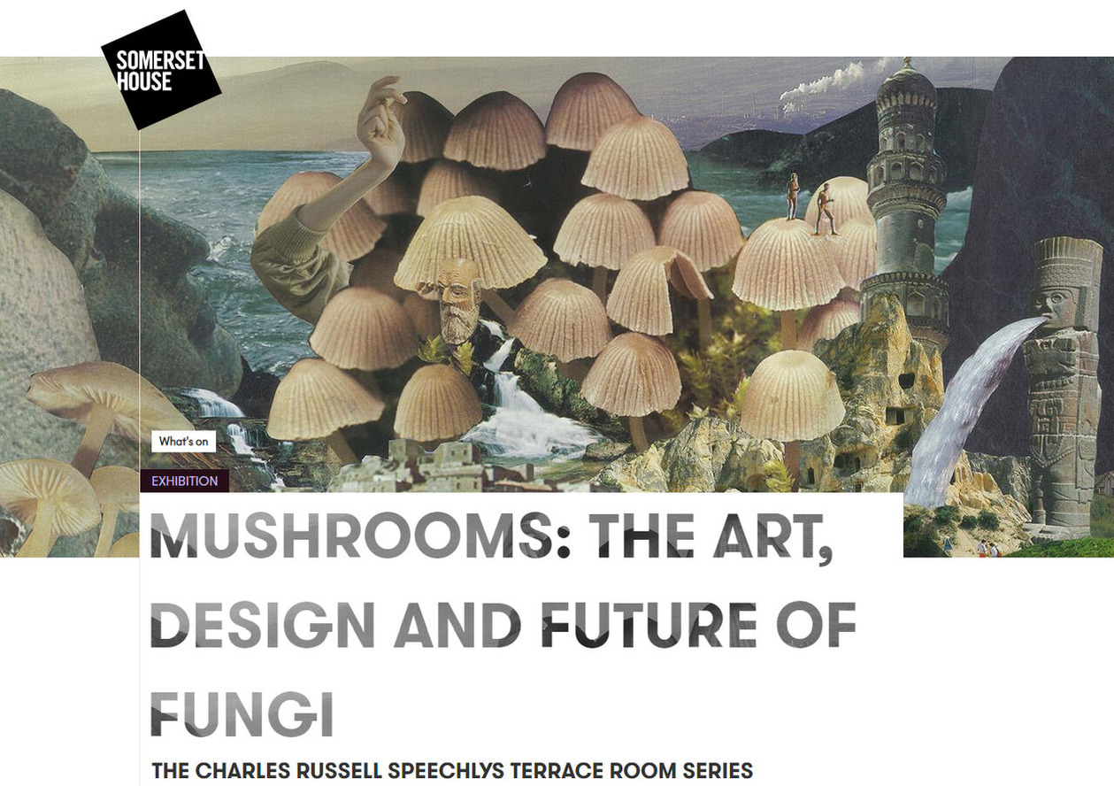 20200726_somerset_02