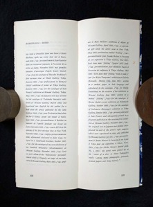 20190823土渕信彦_図１１