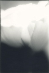 林和美「ゆびさき」より4