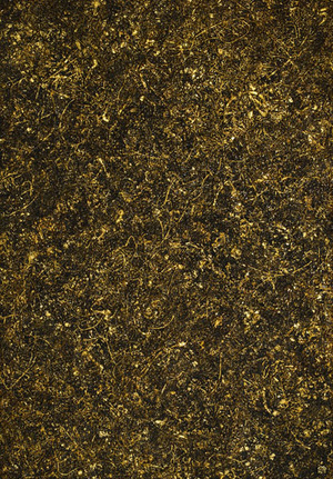 TakuroNOGUCHI_I think(15号)