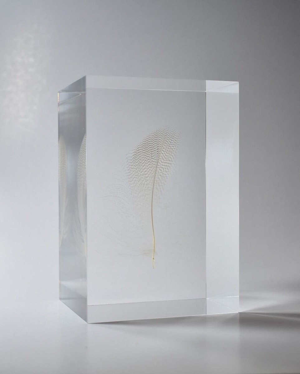 Floating Feather（白）