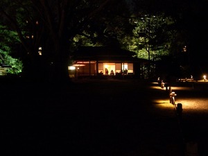 20171121_六義園_09