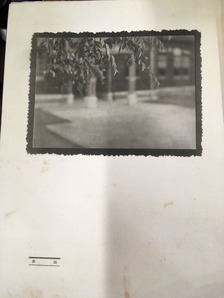 202007小国貴司_写真4