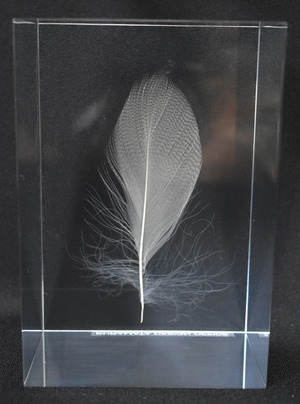 kuramata4_feather_w5