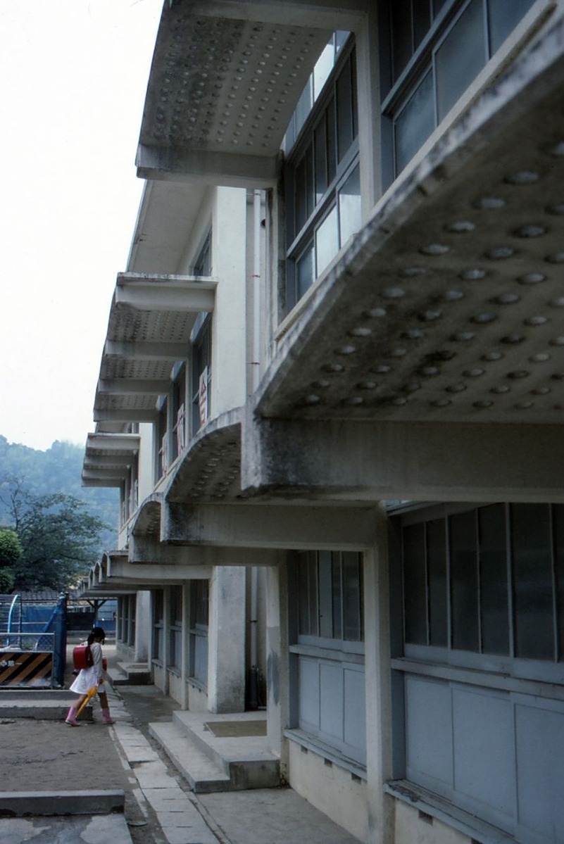 068縺ｮ繧ｳ繝偵ｚ繝ｼ