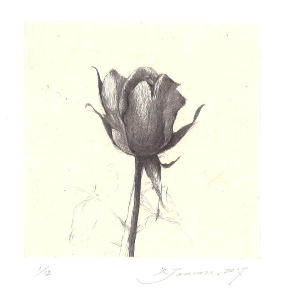 戸村茂樹_野外ノートRose 1