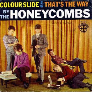 02Honeycombs-colorslide