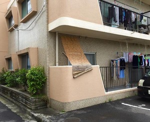 11188410_10206996699299680_4293004459536789630_n