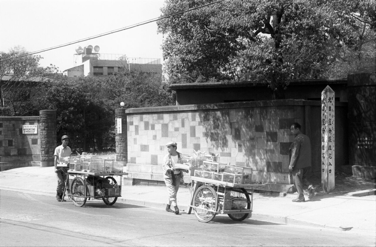 202010平嶋彰彦_ph3