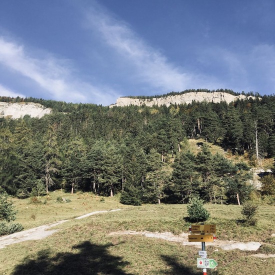 20191110杉山幸一郎IMG02