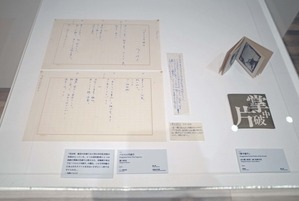 図24掌中破片１