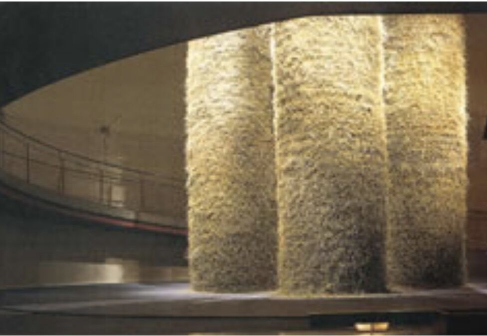 2020-06_001中村恵一