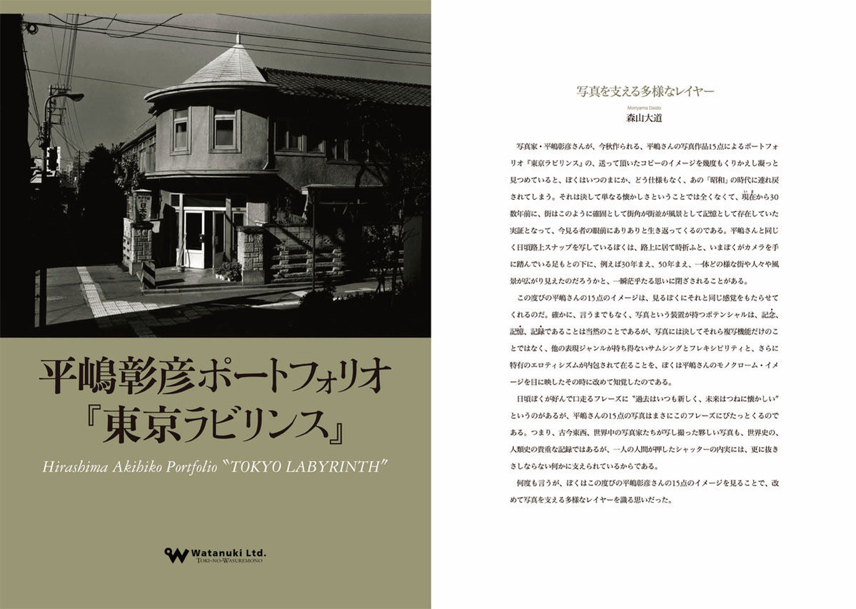 平嶋彰彦_東京ラビリンス_パンフレット1_1200