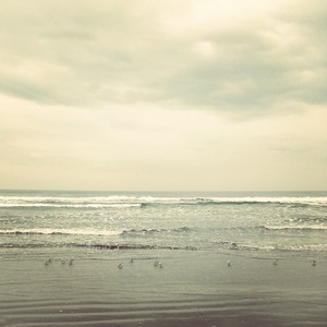 IMG_20121105_155435_