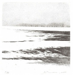 363_北緯40度V_tri