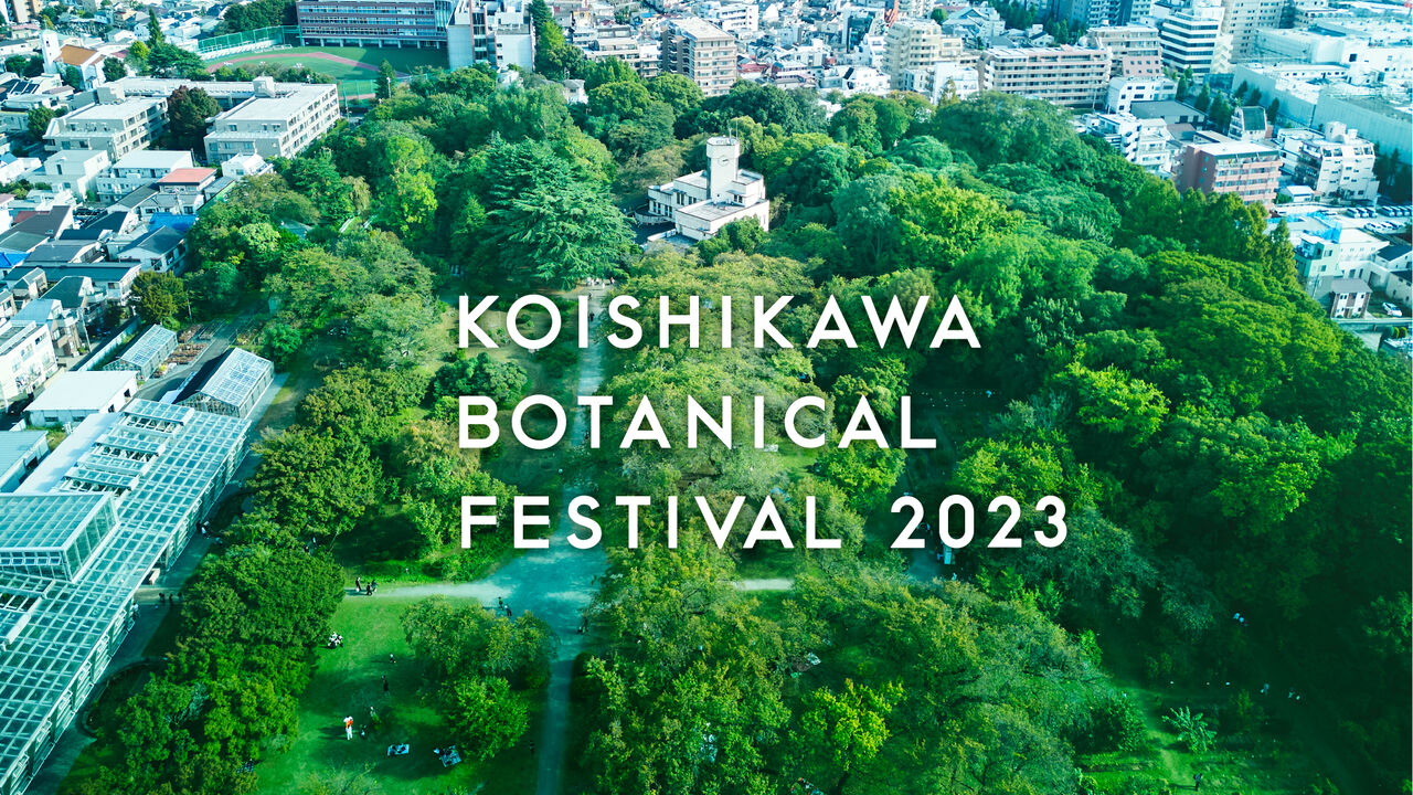 小石川植物祭2023メインビジュアル
