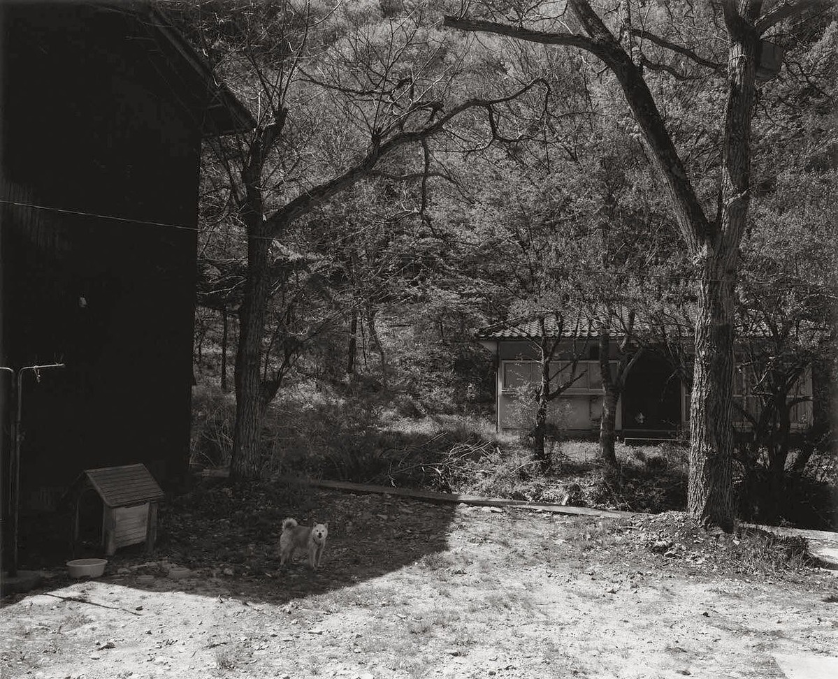 32_本山周平　在庫あり