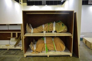 10698484_726382577452461_2547537451790285422_n