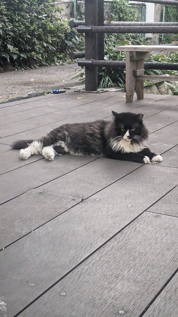 480821272_1346562573321583_7922082727243293558_n