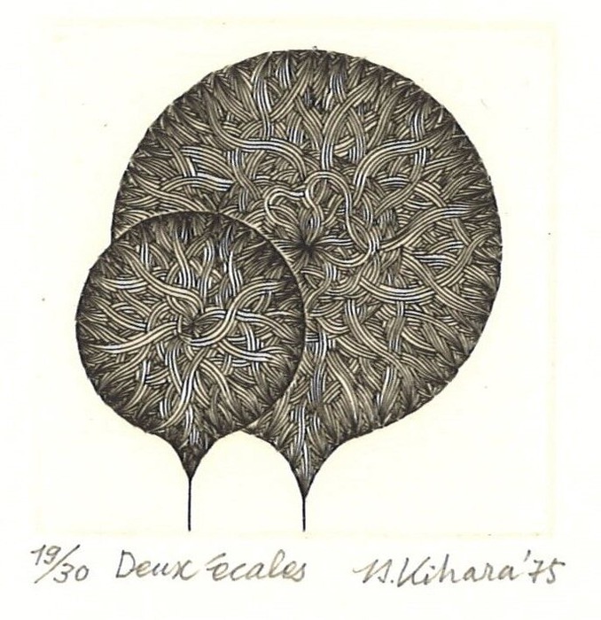 20220226164034_00001