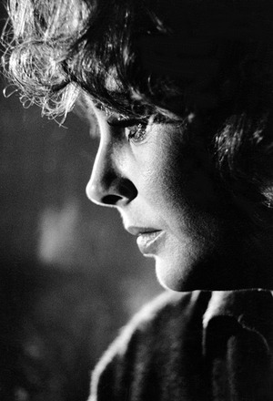 A213-Liz-Taylor-Profile