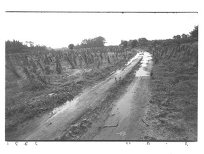 H氏コレクション三里塚　泥んこ道