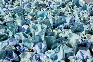 ブルーパールの襞