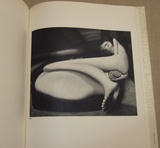 ケルテス・ディストリビューション図版ページ2