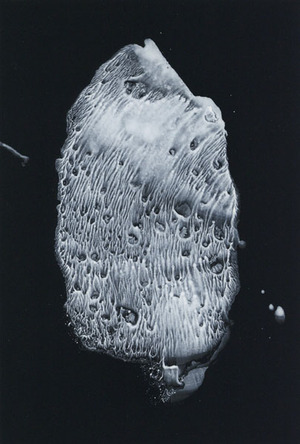 takiguchi2014_III_13