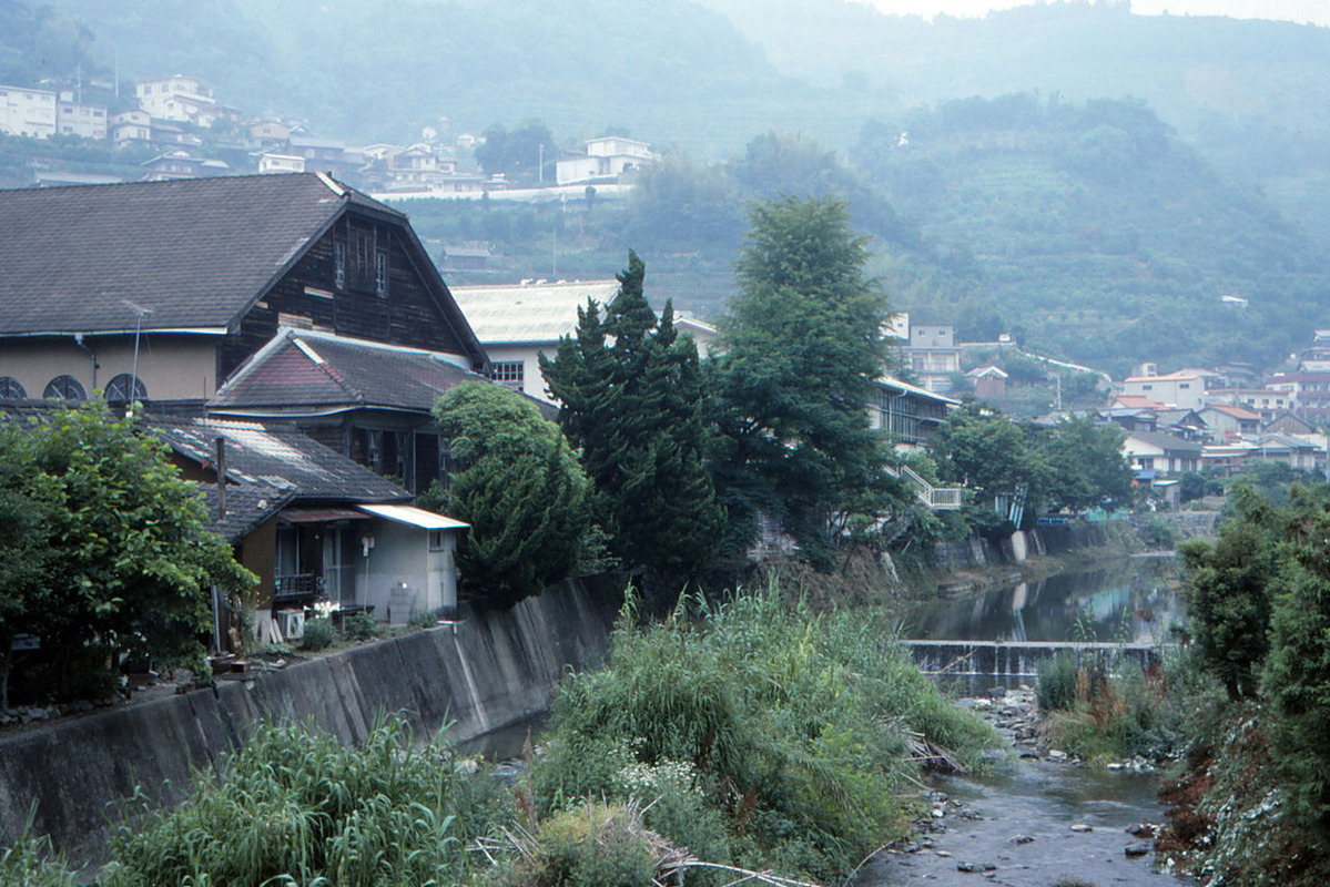 063縺ｮ繧ｳ繝偵ｚ繝ｼ