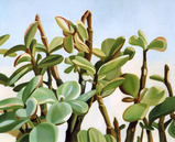 永井桃子「光途ー窓から2」