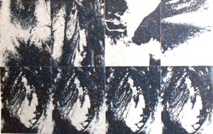 吉岡「作品」62読売アンパン