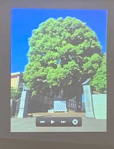 20190623土渕信彦図１２