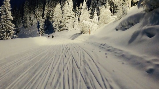 杉山幸一郎img06