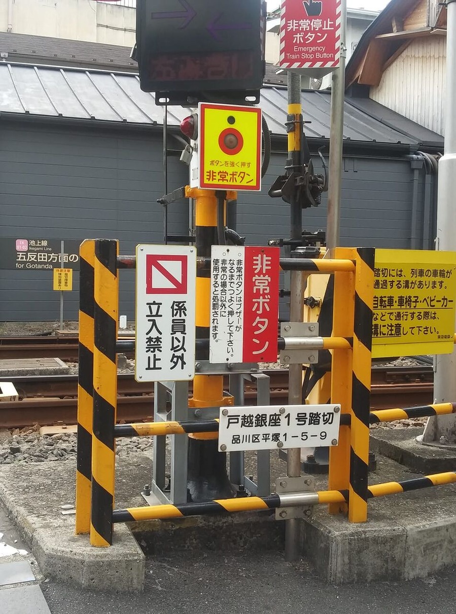 195025065_504231620888020_6522561914893112025_n (1)